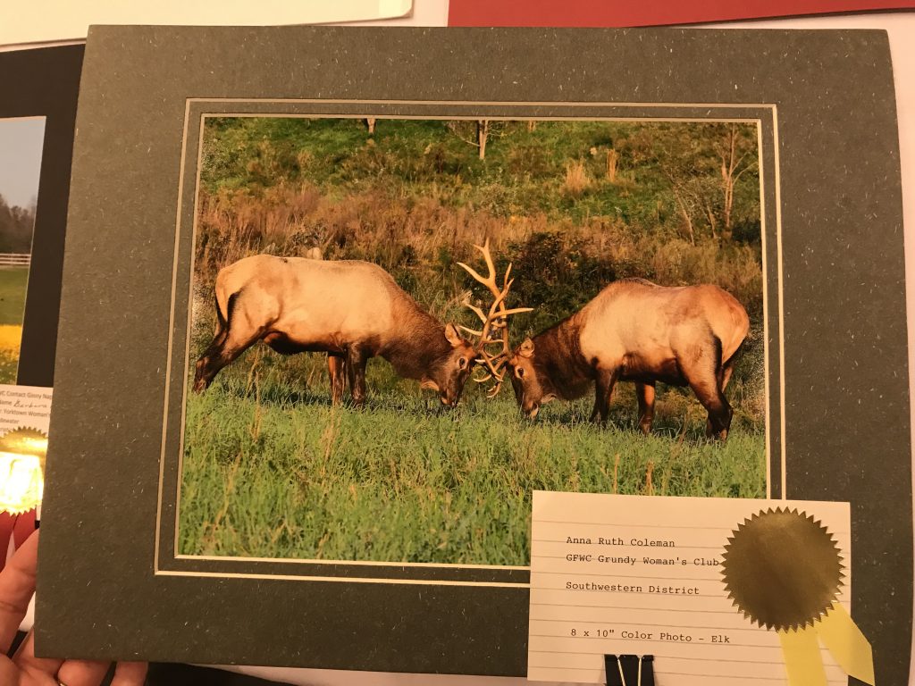 Taken by Grundy clubwoman and Arts Chairman Anna Ruth Coleman, this photograph of elk butting antlers advanced from the Southwestern District Arts & Crafts Contest earlier in April and earned Third Place in its division at the state convention.